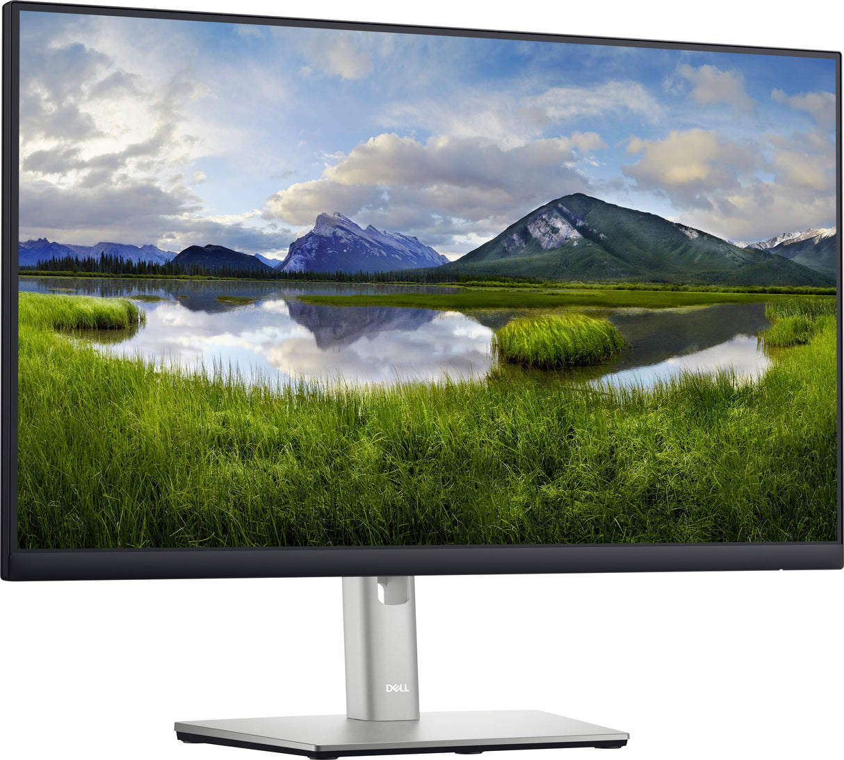 Dell Monitor 60.5CM / 23.8" Black P2422H